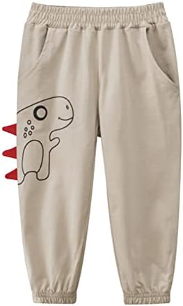 Dinosaur Kids Joggers