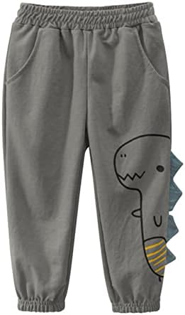 Perfect for Little Ones Dinosaur Theme