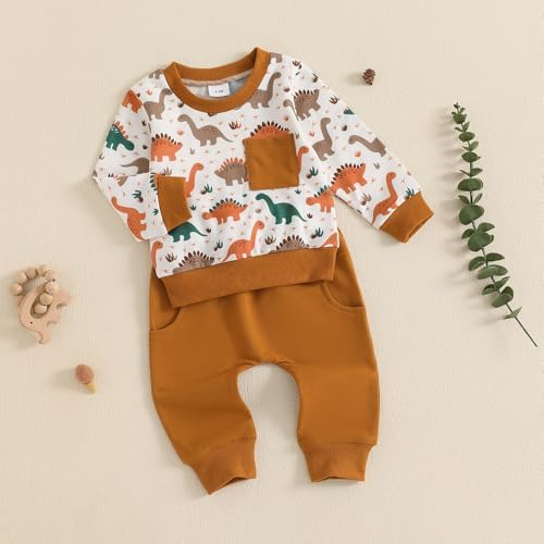Fanvereka Baby Boys Dinosaur Print sweatshirt and sweatpants set