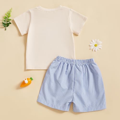 Engofs Toddler Boy Easter Outfit