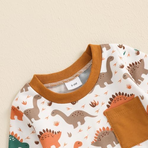 Fanvereka Baby Boys Dinosaur Print sweatshirt and sweatpants set