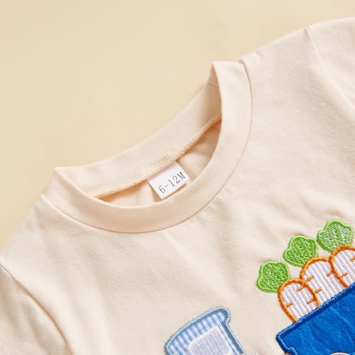 Engofs Toddler Boy Easter Outfit