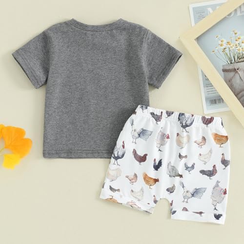 Ledy Champswiin Toddler Farm Set