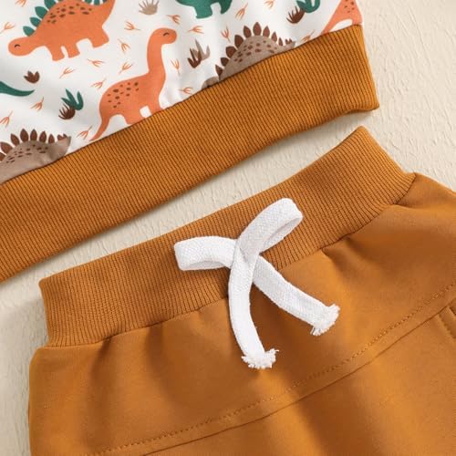 Fanvereka Baby Boys Dinosaur Print sweatshirt and sweatpants set