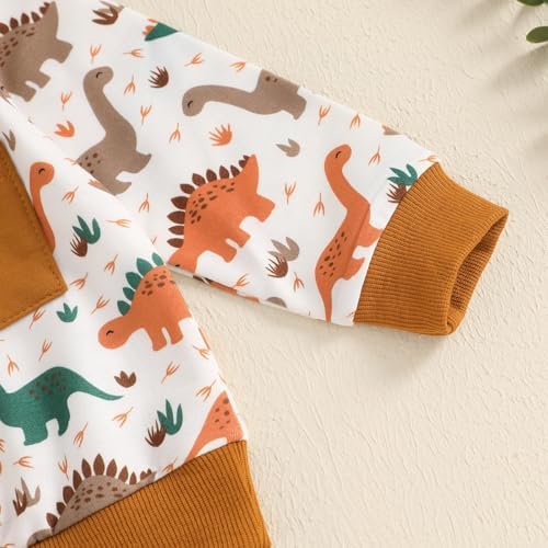 Fanvereka Baby Boys Dinosaur Print sweatshirt and sweatpants set