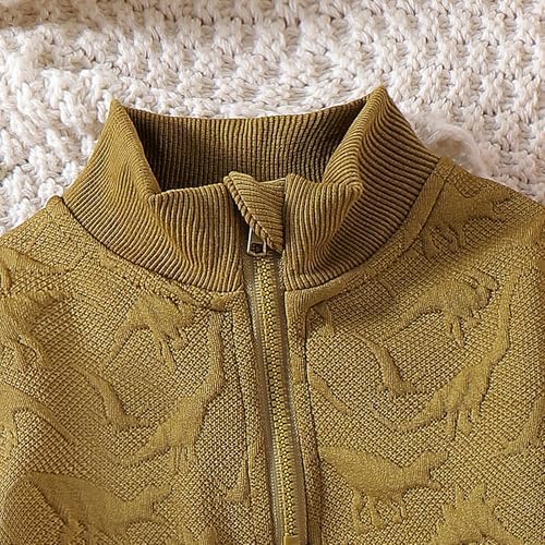 Bowler dinosaur toddler boys fall winter outfit set