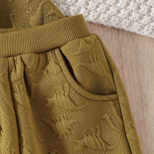 Bowler dinosaur toddler boys fall winter outfit set