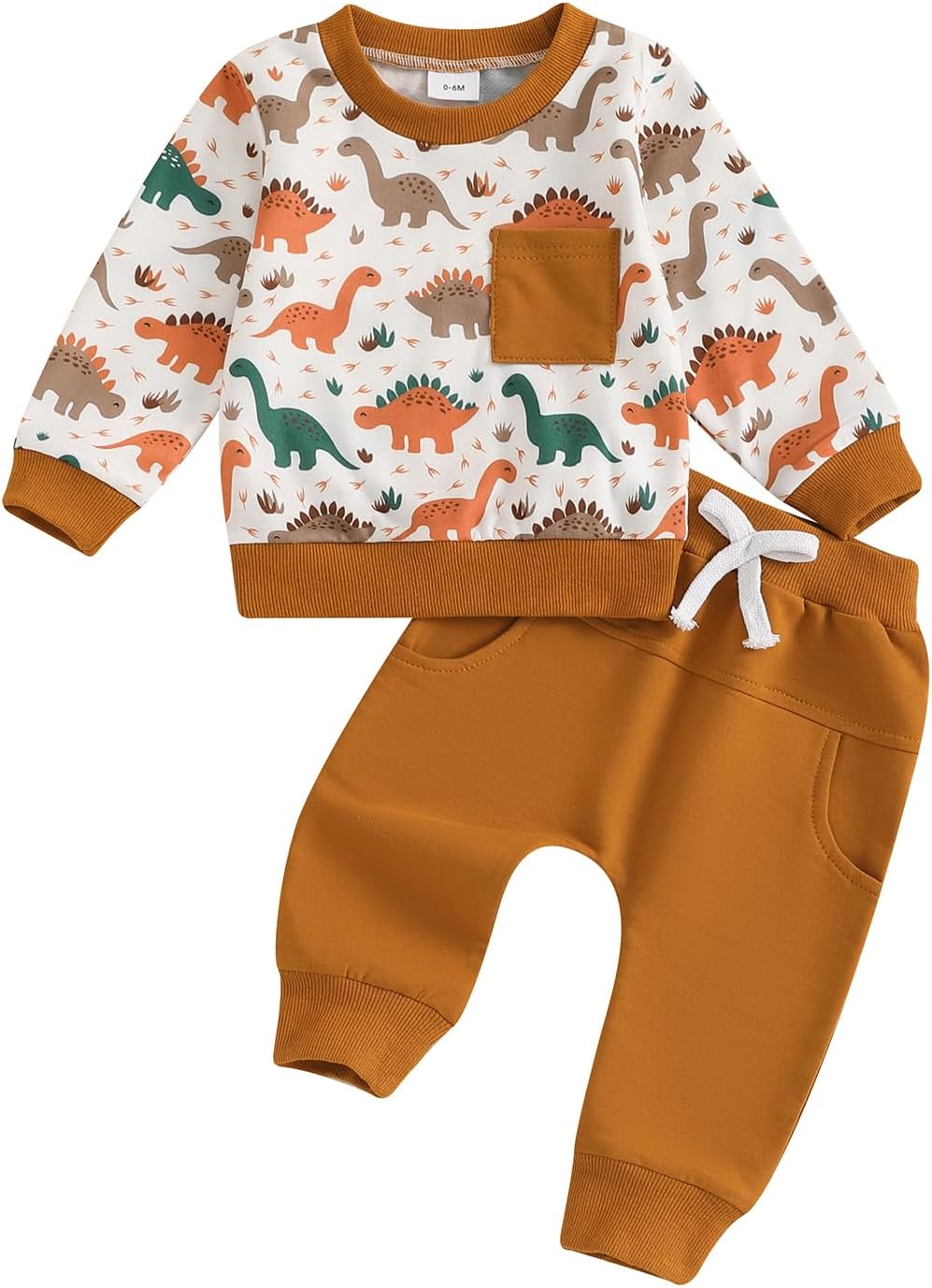 Fanvereka Baby Boys Dinosaur Print sweatshirt and sweatpants set
