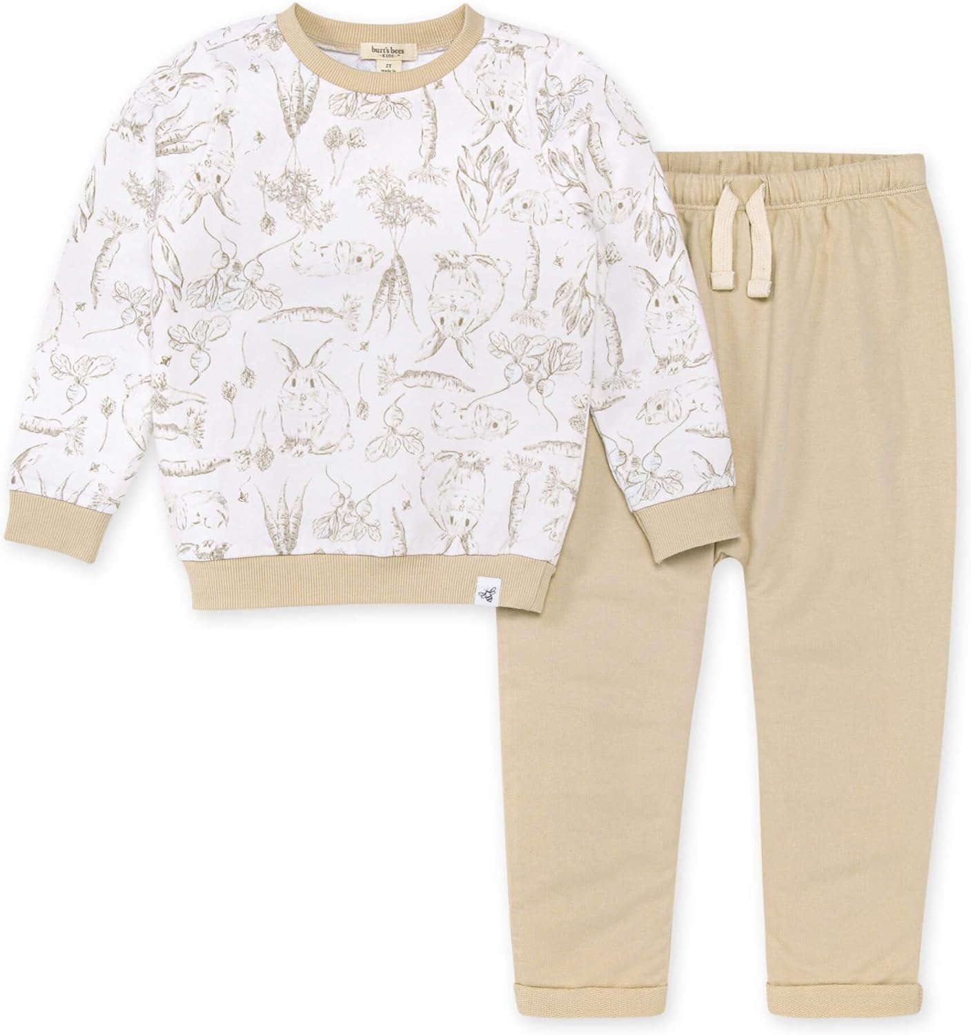 Burts Bees Baby Boys T-Shirt Pants Set