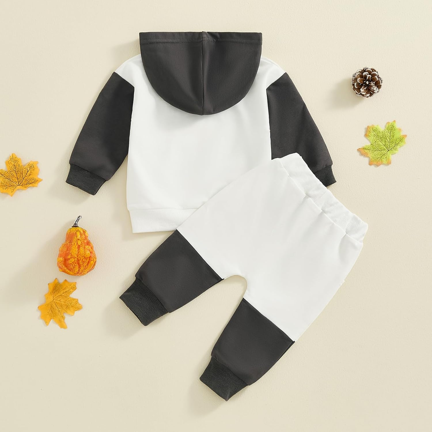 autumn Toddler Boys 2-Piece Hoodie Set