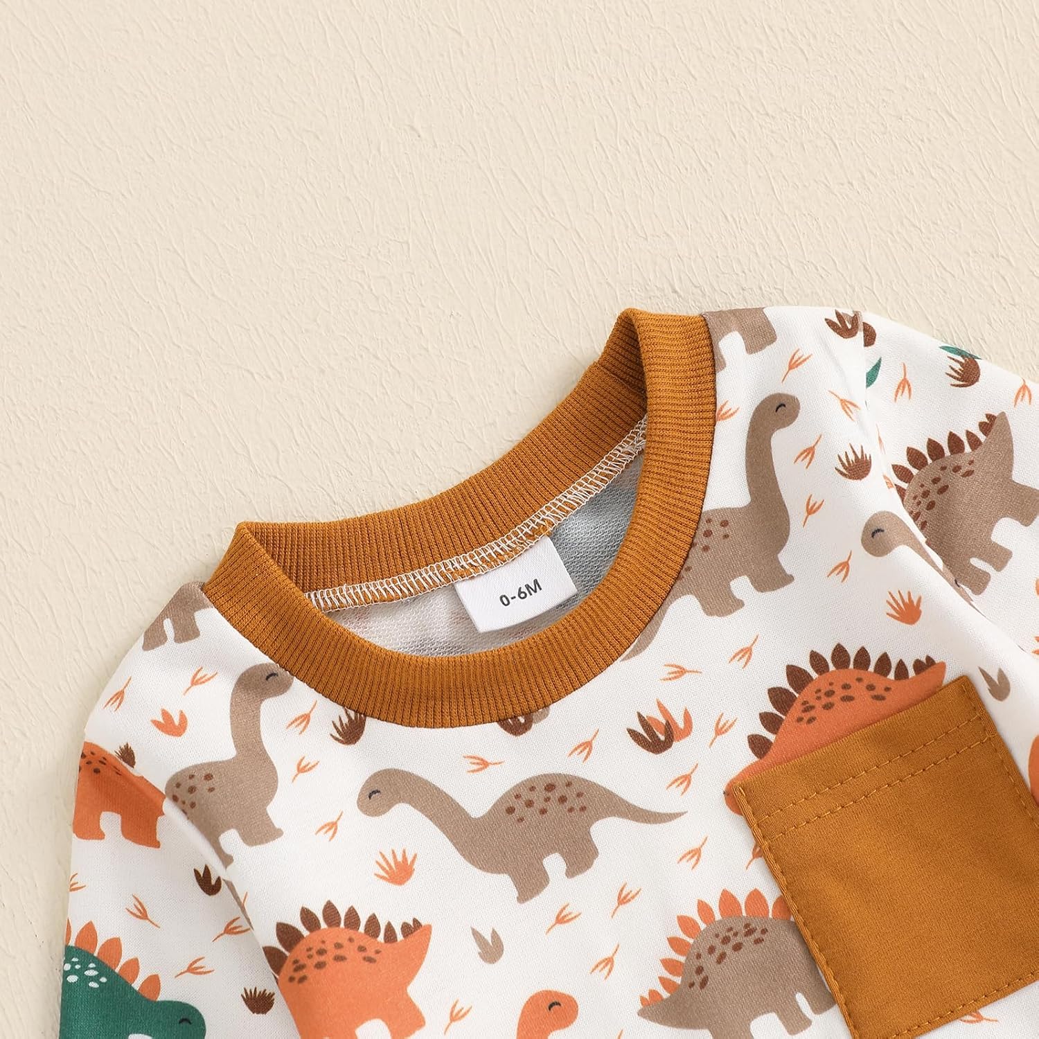 Fanvereka Baby Boys Dinosaur Print sweatshirt and sweatpants set