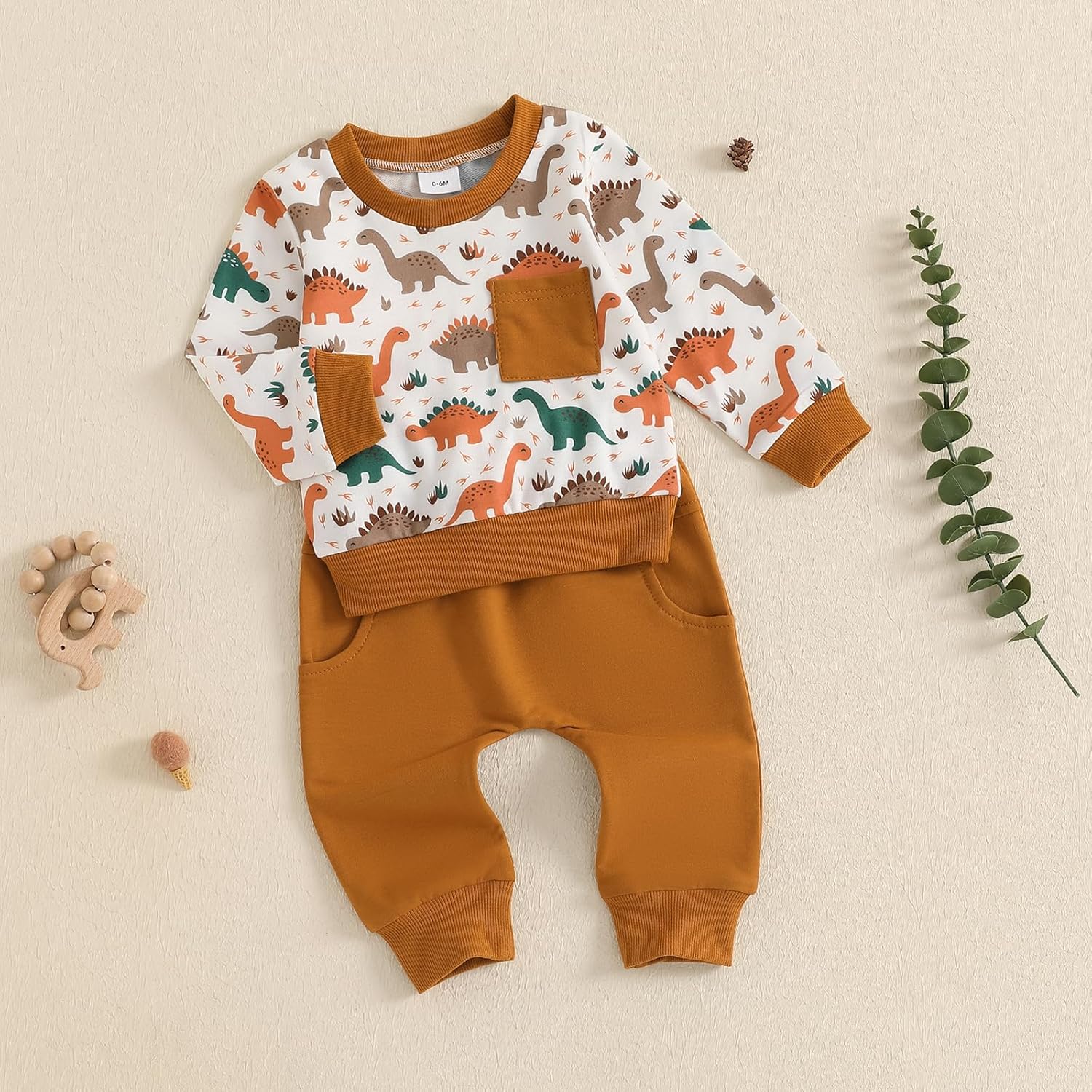 Fanvereka Baby Boys Dinosaur Print sweatshirt and sweatpants set