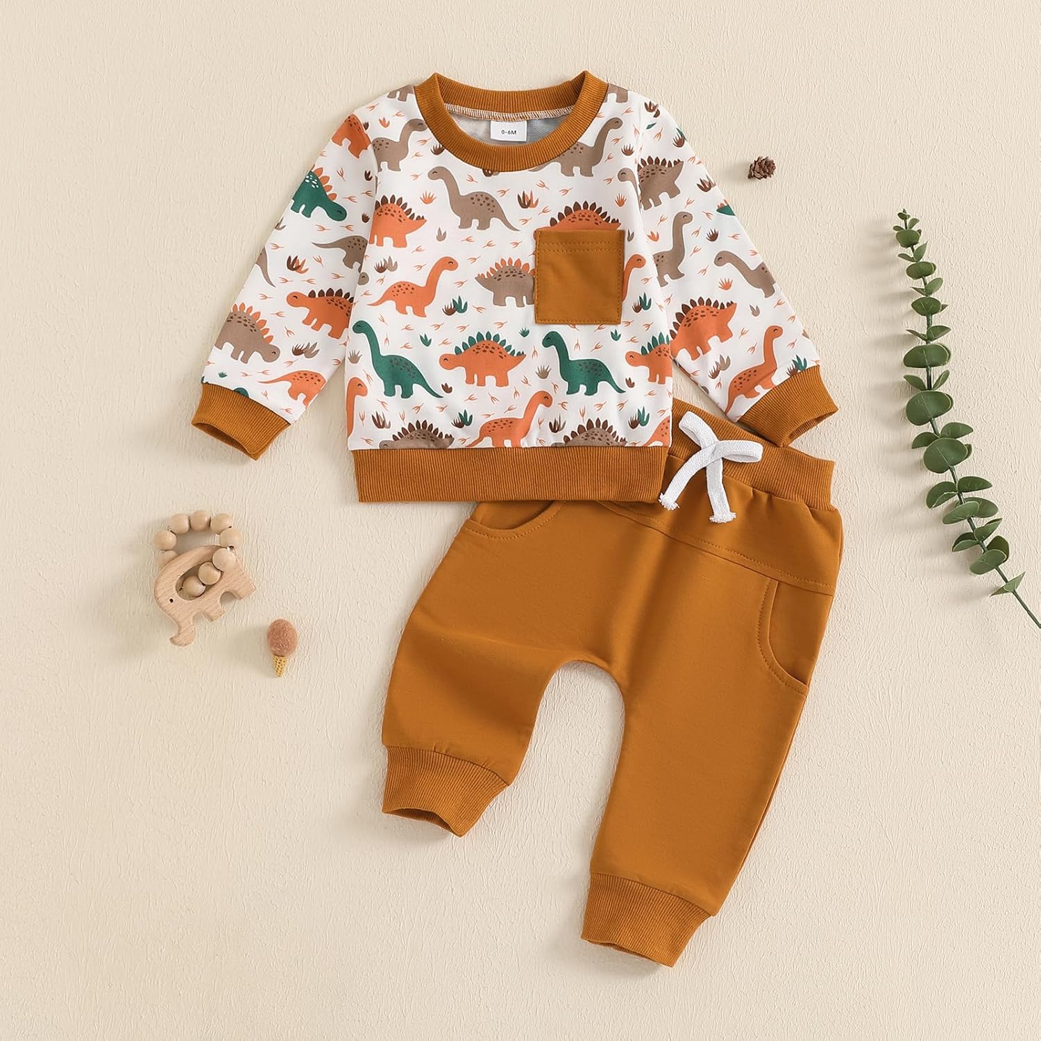Fanvereka Baby Boys Dinosaur Print sweatshirt and sweatpants set